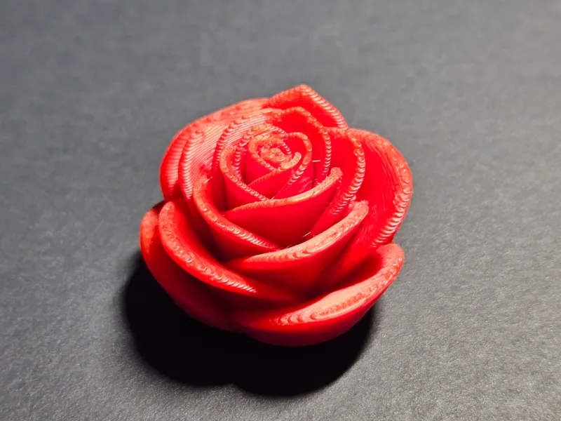 Moderne Minimalistische Rosenblüte