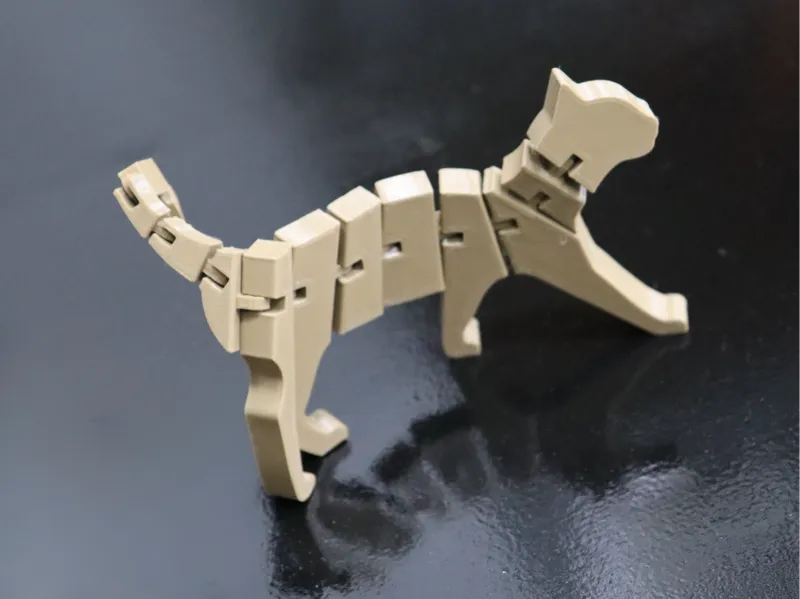 Flexi Cat