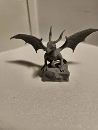 Le plus petit des dragons — photo 2