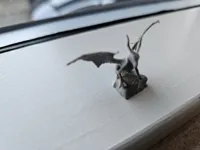 Le plus petit des dragons — photo 4