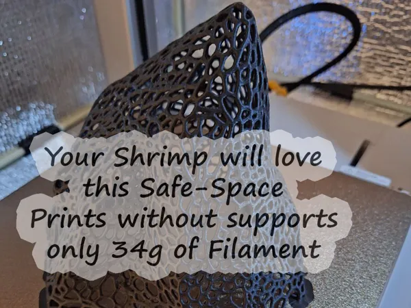 https://makerworld.bblmw.com/makerworld/model/US35e17cb9ae2756/design/2024-12-07_06f00203fe7638.jpg