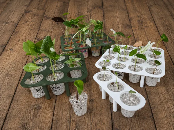 https://makerworld.bblmw.com/makerworld/model/US35e60a636c26a0/design/b7cd4a8157172e21.png