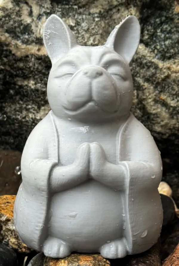 https://makerworld.bblmw.com/makerworld/model/US35e902e582f284/design/2024-05-25_46366834390a5.jpg