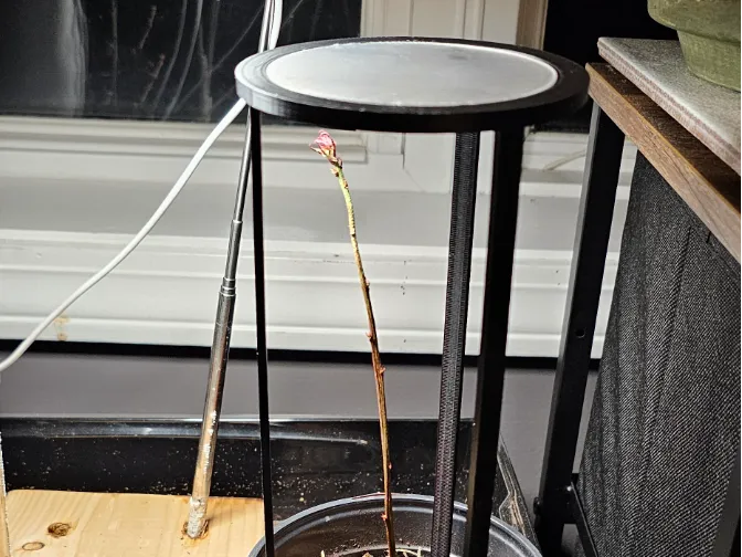 Greenhouse Frame for Indoor Planter