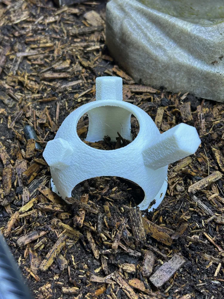 Reptile Enrichment Dome - Free 3D Print Model - MakerWorld