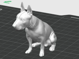 bullterier
