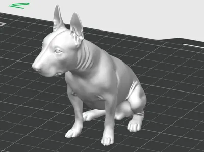 bull terrier