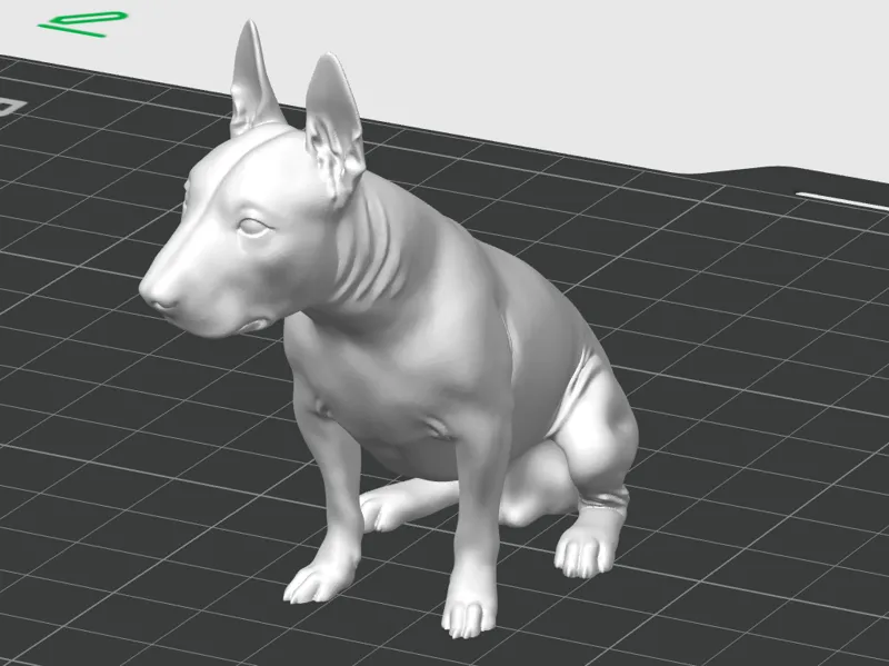 bullterier