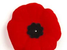 poppy