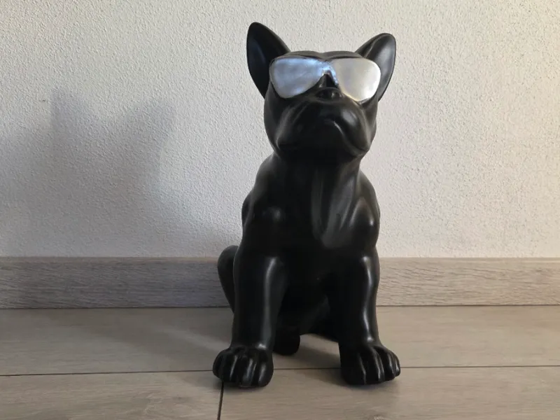 Cool Frenchie