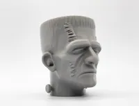 Tête de Frankenstein — photo 2