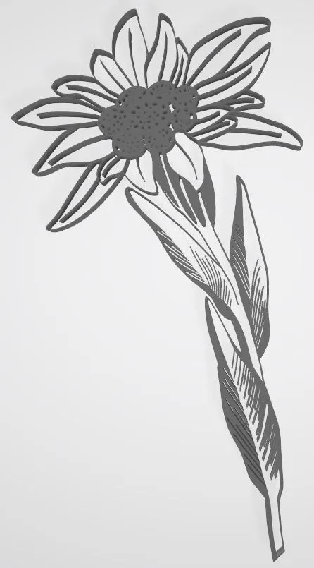 Stella Alpina flower