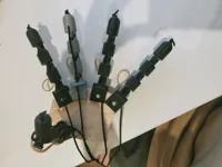 All fingers (tested)