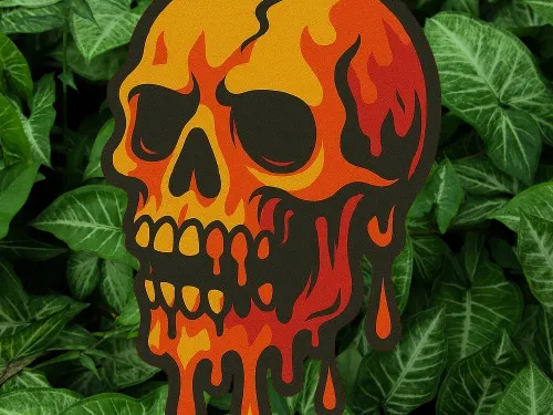 https://makerworld.bblmw.com/makerworld/model/US360a75aa560008/design/2025-06-15_f90da6d7b00ae8.png