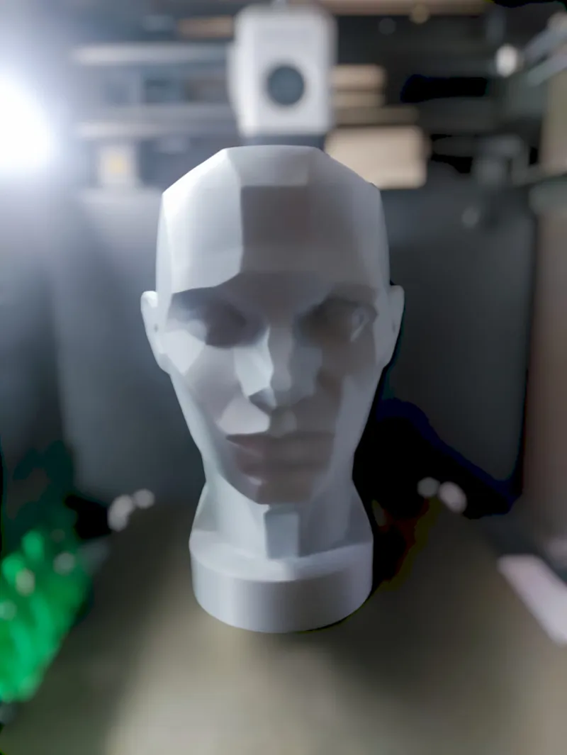 John Asaro Head