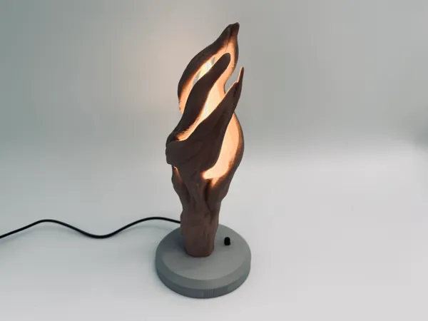 https://makerworld.bblmw.com/makerworld/model/US360f91288dcf5/design/2025-08-30_e5de7076cc008.jpg