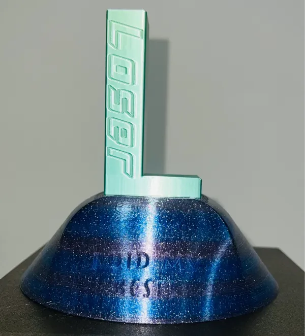 https://makerworld.bblmw.com/makerworld/model/US361073b518c0ed/design/2024-07-09_63fa77c06bd69.jpeg