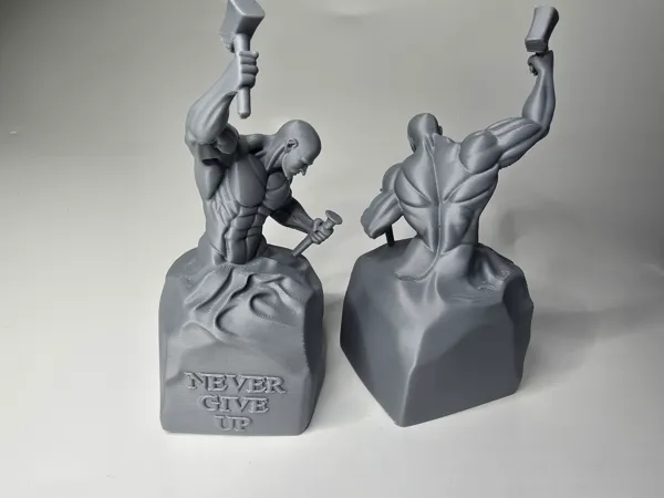 https://makerworld.bblmw.com/makerworld/model/US36116361647158/design/2026-01-11_3559d635211da8.jpg