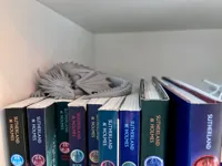 Figurine dragon endormi pour livre — photo 3