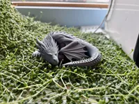 Figurine dragon endormi pour livre — photo 2
