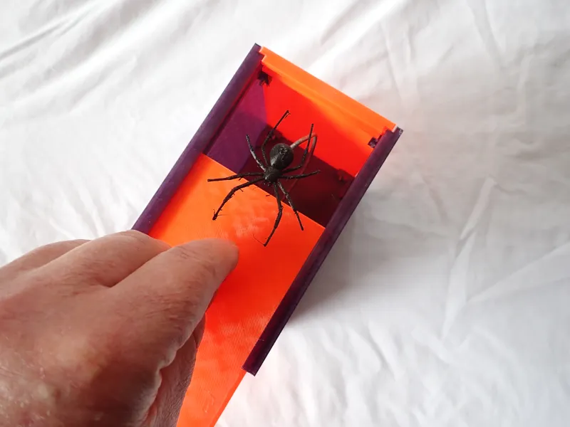 Spider Scare Box