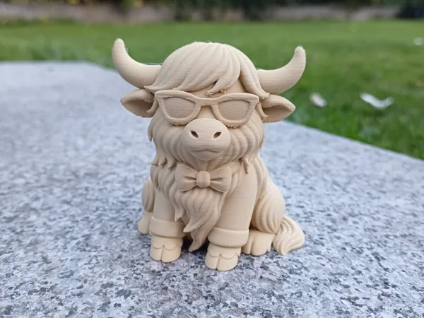 https://makerworld.bblmw.com/makerworld/model/US36183aec277d53/design/2025-10-01_2b635ee3396f98.jpg