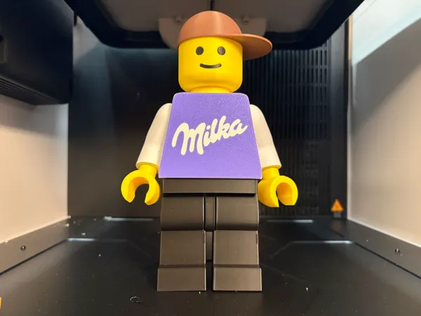 https://makerworld.bblmw.com/makerworld/model/US3618475f8a98eb/design/e1a372df45c3e08b.jpeg