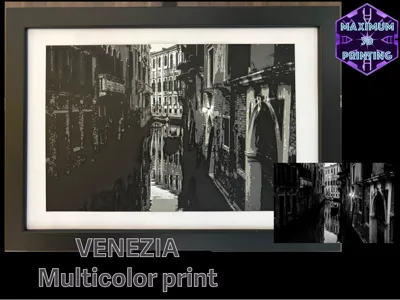 Venezia Multicolor Print