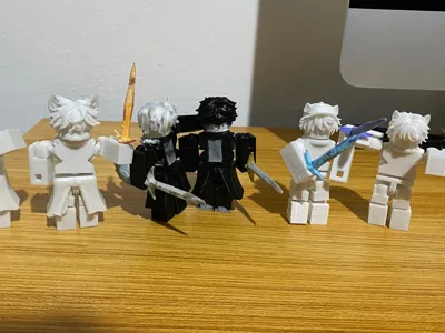 Aster Noir Roblox Skins