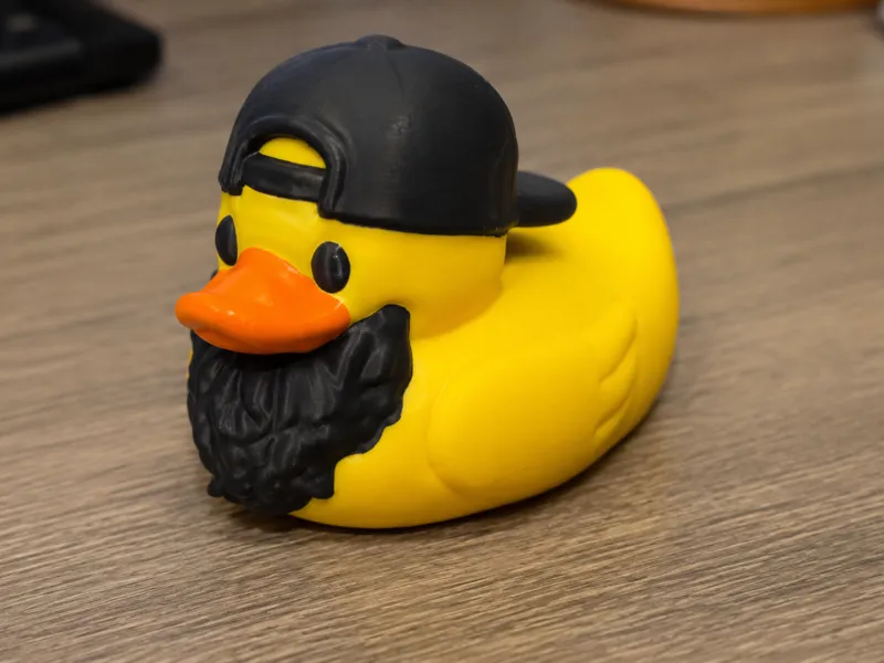 Bearded Duck with Backwards Hat