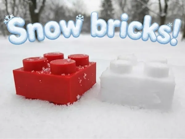 https://makerworld.bblmw.com/makerworld/model/US362658168cdb5a/design/2025-12-02_101c14c5c74ce8.jpg
