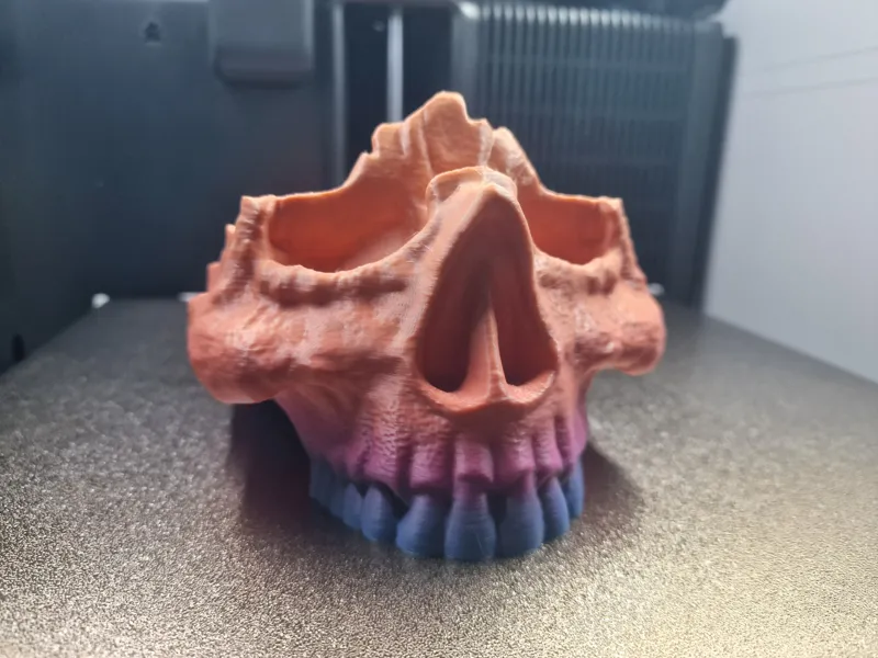 Skull Glasses Holder and Catchall