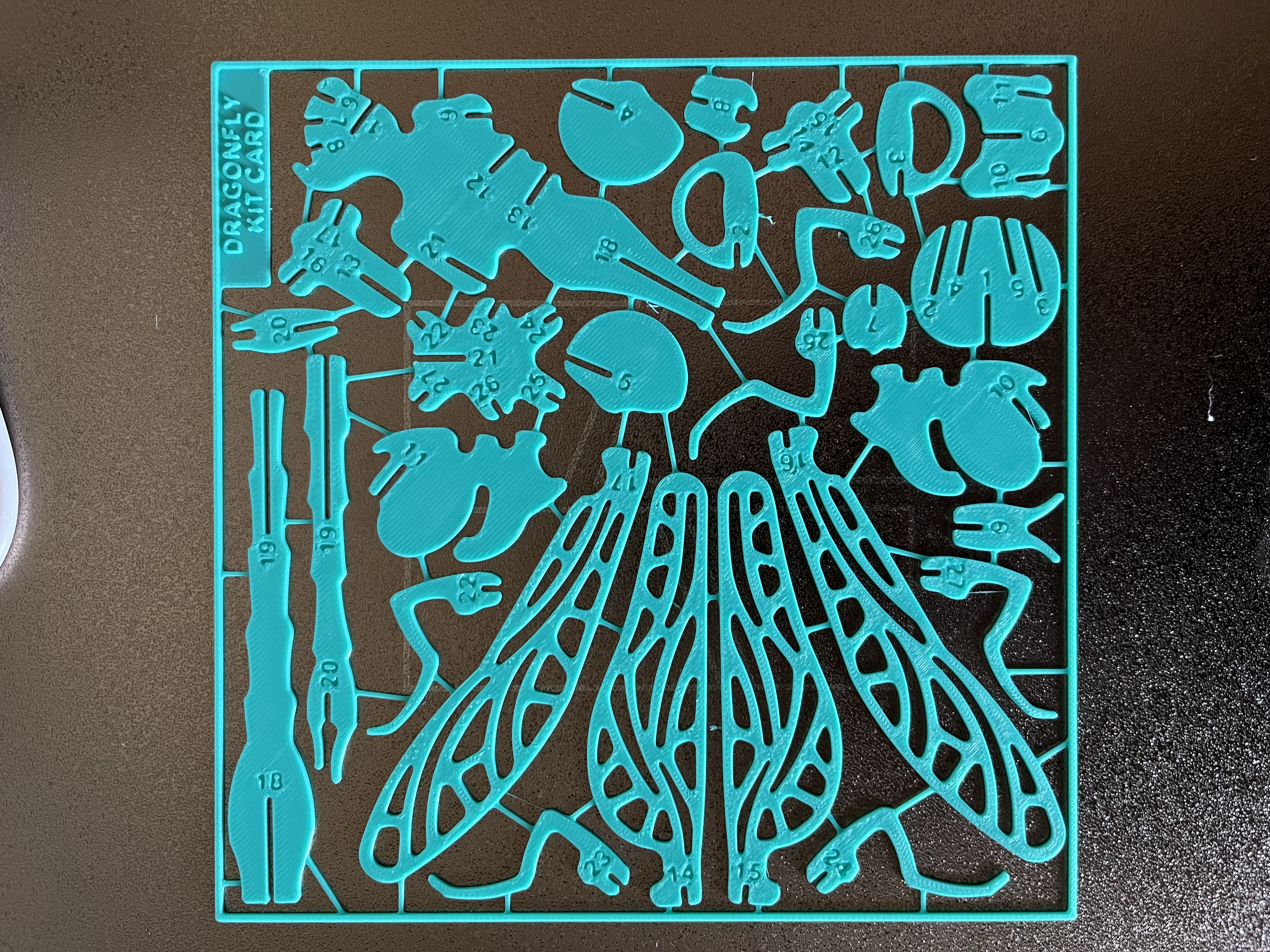 Miniatura 2 do modelo 3D Dragonfly Bug Kit Card - BugCards