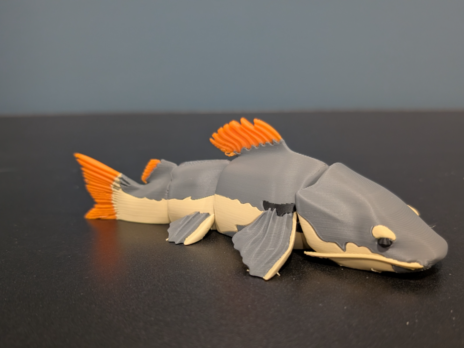 Miniatura 1 do modelo 3D Redtail Catfish Flexi