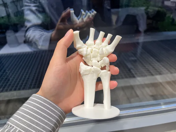 https://makerworld.bblmw.com/makerworld/model/US362b010600e7cd/design/2024-11-02_e94b426dfc354.jpg