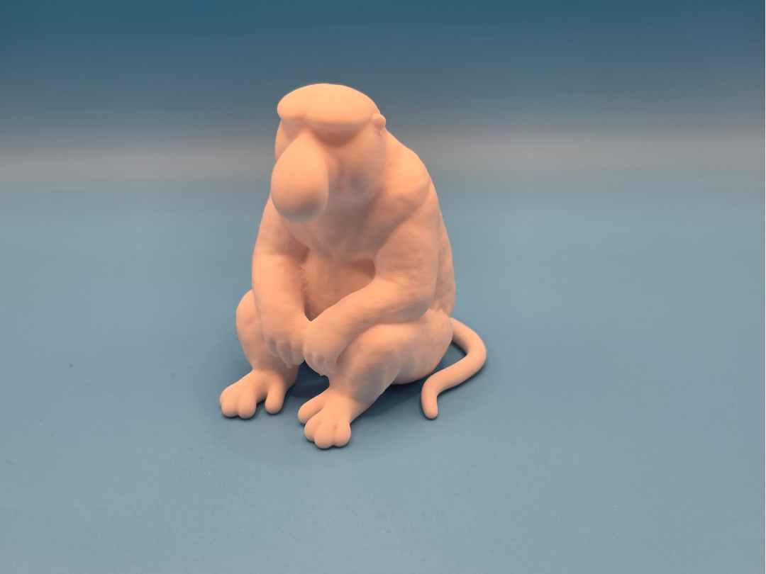 Realistic Proboscis Monkey  Tiere aus aller Welt