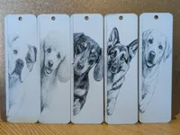 Set of 5