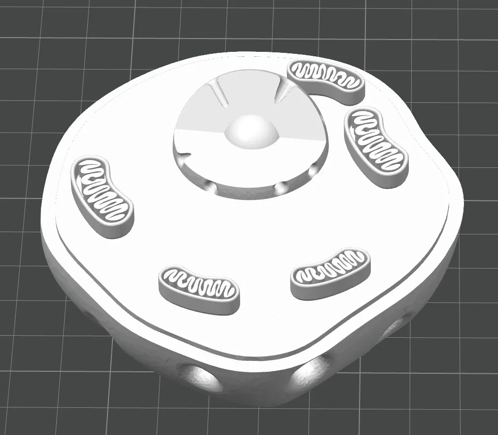 Miniatura 2 do modelo 3D 初中动物细胞模型