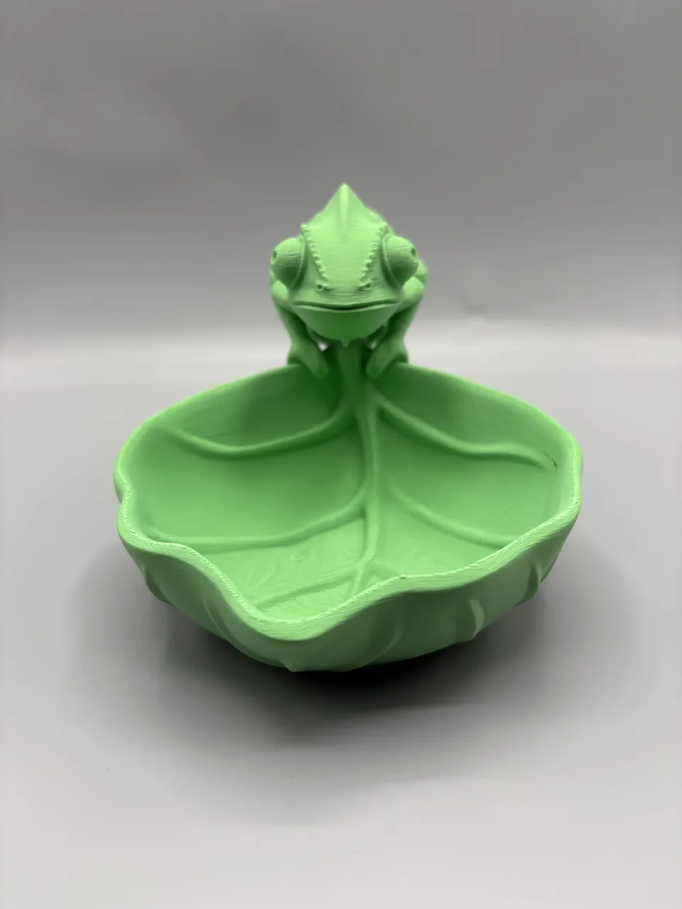 Chameleon Catchall Bowl | Key Holder Tray view 4