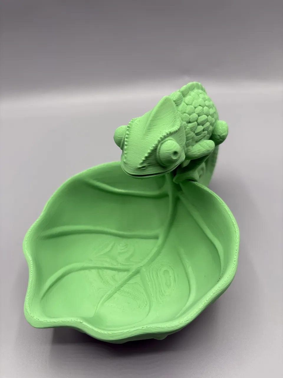 Chameleon Catchall Bowl | Key Holder Tray view 3