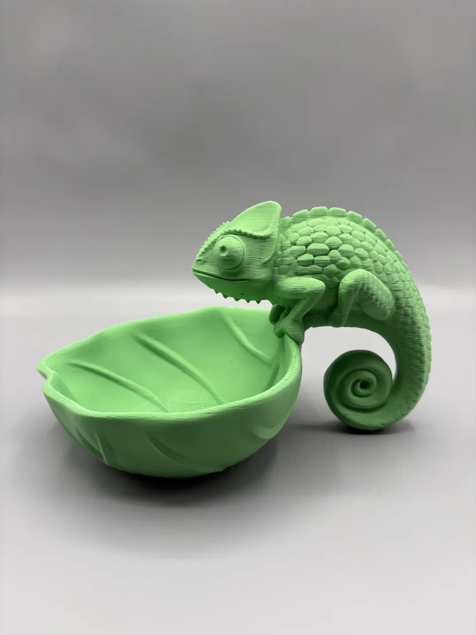 Chameleon Catchall Bowl | Key Holder Tray view 2