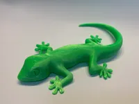 Petit gecko — photo 2
