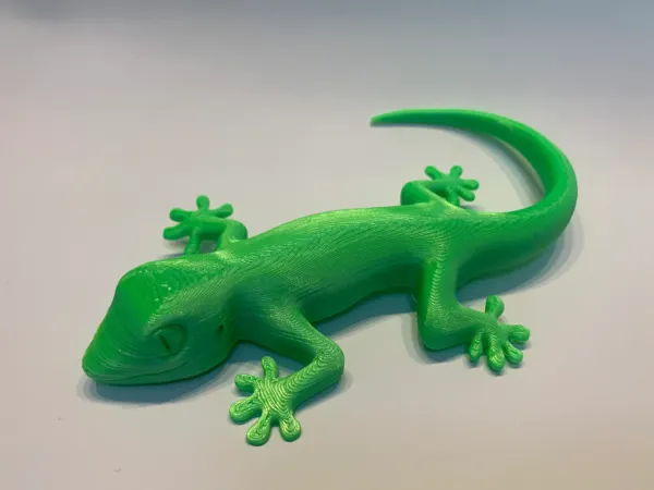 Petit gecko