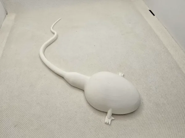 https://makerworld.bblmw.com/makerworld/model/US3646ac4e3a089d/design/2025-02-18_3b54011871bba.jpg