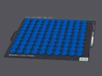 100 Piece in One Plate