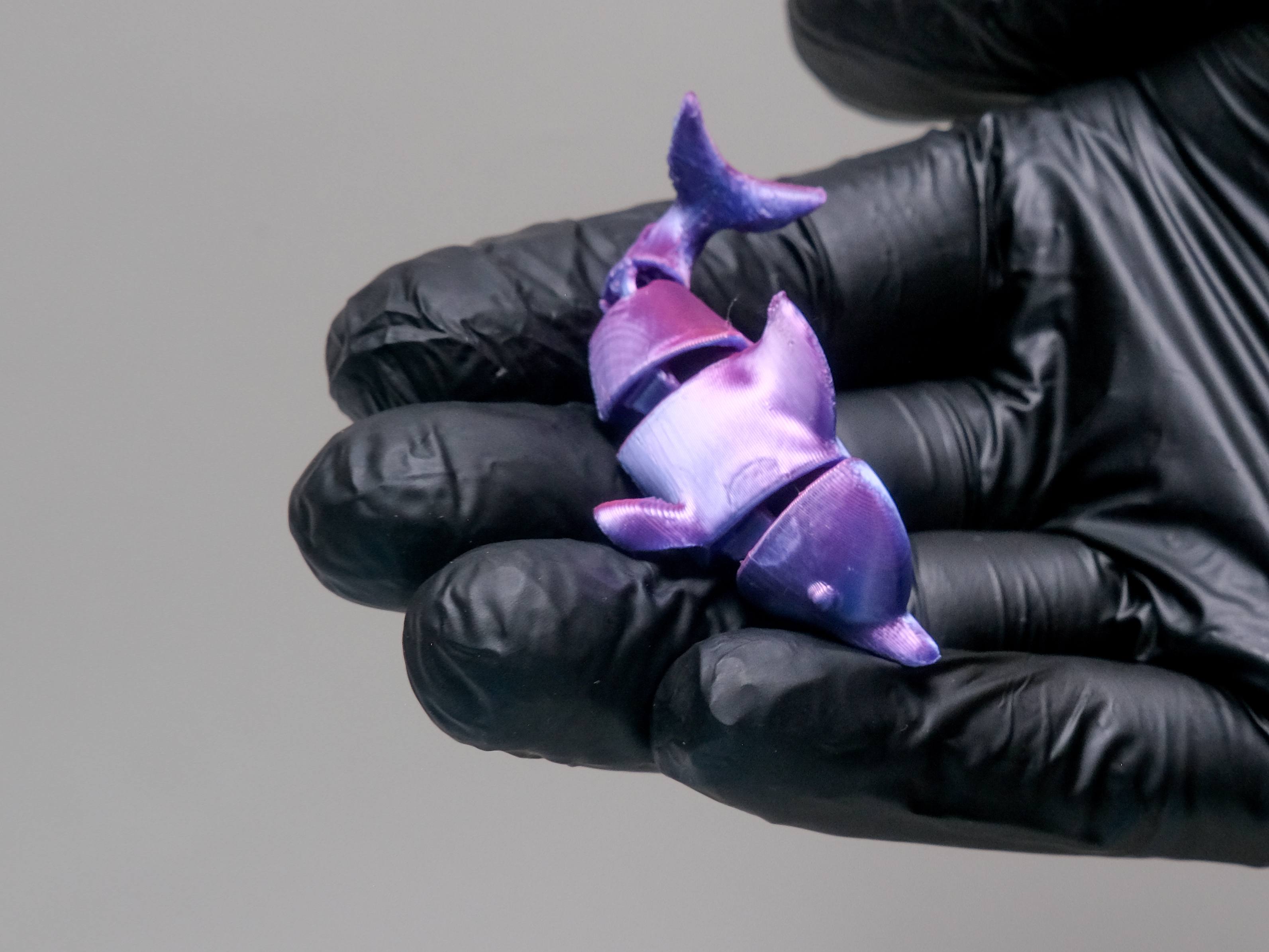 Miniatura 2 do modelo 3D Flexi Dolphin