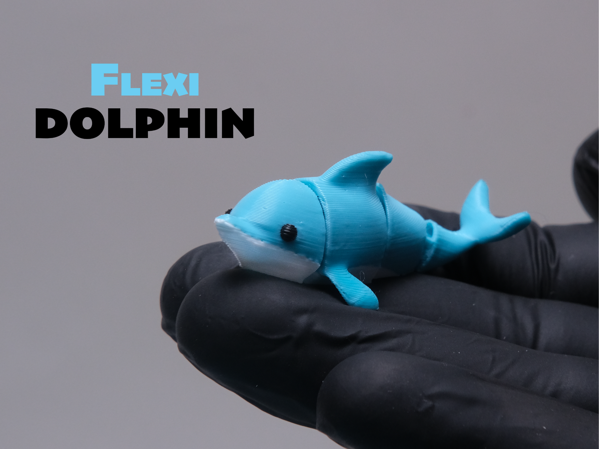 Flexi Dolphin