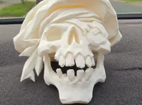 Crâne maudit du capitaine — Sea of Thieves — photo 2