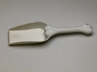 超萌宠物粮铲 狗狗的可爱铲子