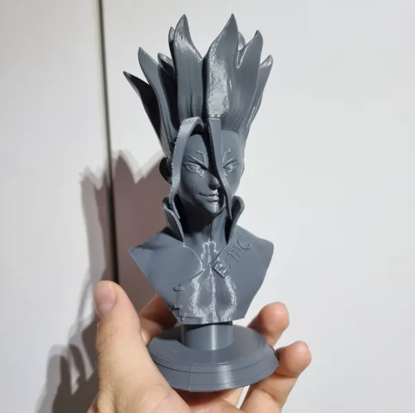 https://makerworld.bblmw.com/makerworld/model/US365cfbfde49def/design/2024-12-26_e284cf881ad4.jpg